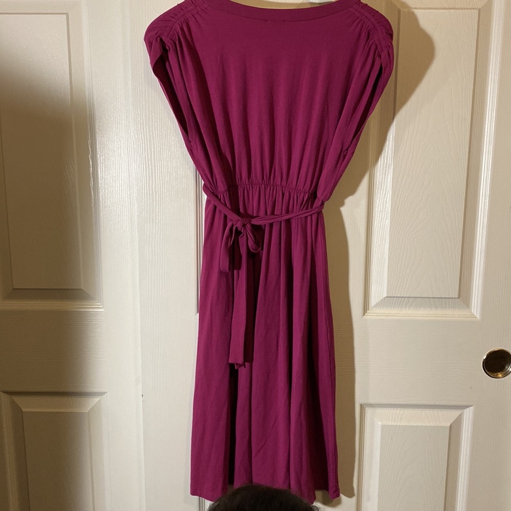 Splendid Dress - Picture 4 of 6